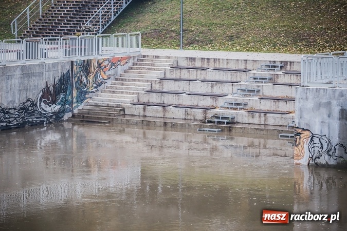 Zdjęcie w galerii na portalu naszraciborz.pl: Odra w Miedoni blisko trzy metry w g&oacute;rę po opadach. Przekroczyła stan ostrzegawczy wiadomości z regionu
