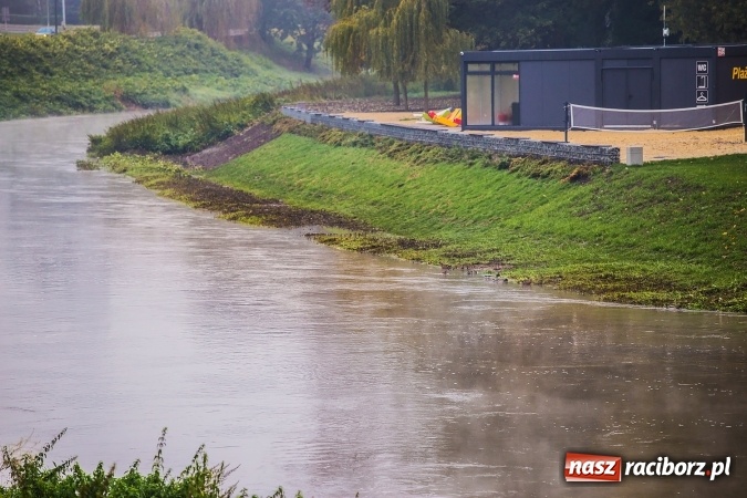 Zdjęcie w galerii na portalu naszraciborz.pl: Odra w Miedoni blisko trzy metry w g&oacute;rę po opadach. Przekroczyła stan ostrzegawczy wiadomości z regionu