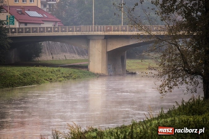 Zdjęcie w galerii na portalu naszraciborz.pl: Odra w Miedoni blisko trzy metry w g&oacute;rę po opadach. Przekroczyła stan ostrzegawczy wiadomości z regionu
