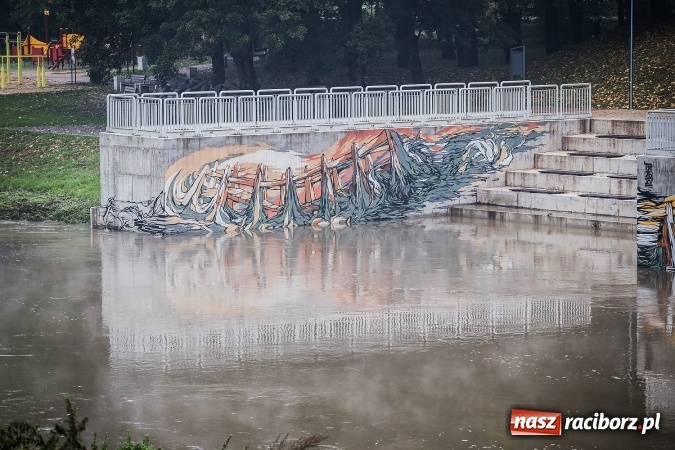 Zdjęcie w galerii na portalu naszraciborz.pl: Odra w Miedoni blisko trzy metry w g&oacute;rę po opadach. Przekroczyła stan ostrzegawczy wiadomości z regionu