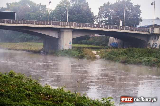 Zdjęcie w galerii na portalu naszraciborz.pl: Odra w Miedoni blisko trzy metry w g&oacute;rę po opadach. Przekroczyła stan ostrzegawczy wiadomości z regionu