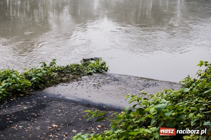 Zdjęcie w galerii na portalu naszraciborz.pl: Odra w Miedoni blisko trzy metry w g&oacute;rę po opadach. Przekroczyła stan ostrzegawczy wiadomości z regionu