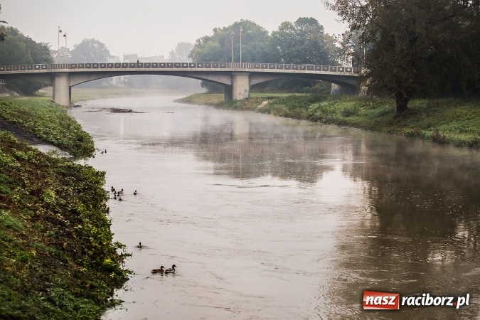 Zdjęcie w galerii na portalu naszraciborz.pl: Odra w Miedoni blisko trzy metry w g&oacute;rę po opadach. Przekroczyła stan ostrzegawczy wiadomości z regionu