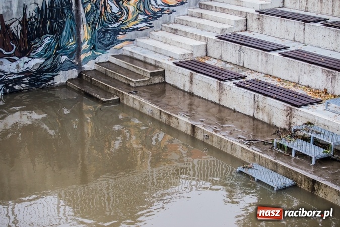 Zdjęcie w galerii na portalu naszraciborz.pl: Odra w Miedoni blisko trzy metry w g&oacute;rę po opadach. Przekroczyła stan ostrzegawczy wiadomości z regionu