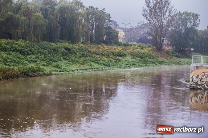 Zdjęcie w galerii na portalu naszraciborz.pl: Odra w Miedoni blisko trzy metry w g&oacute;rę po opadach. Przekroczyła stan ostrzegawczy wiadomości z regionu