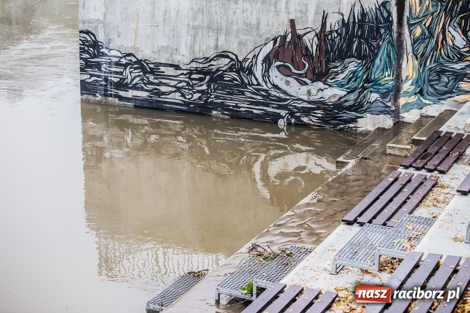 Zdjęcie w galerii na portalu naszraciborz.pl: Odra w Miedoni blisko trzy metry w g&oacute;rę po opadach. Przekroczyła stan ostrzegawczy wiadomości z regionu