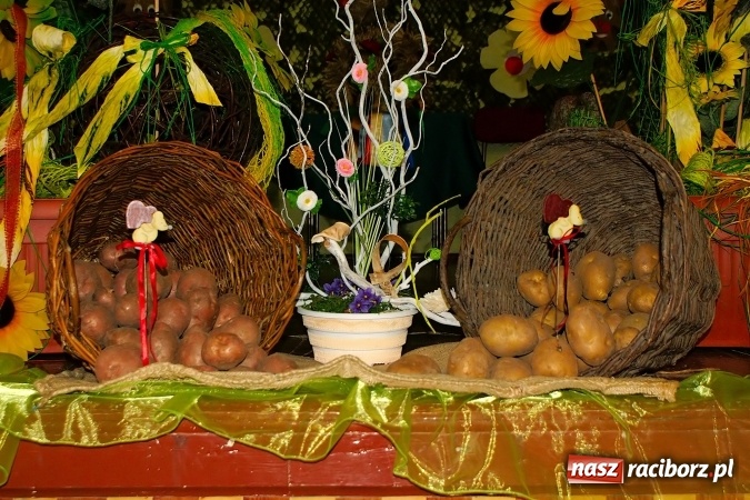 Zdjęcie w galerii na portalu naszraciborz.pl: Kartoffelfest 2016. Święto ziemniaka w Borucinie za nami wiadomości z regionu