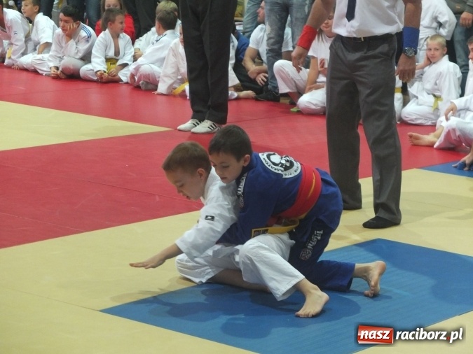 Zdjęcie w galerii na portalu naszraciborz.pl: Sukcesy najmłodszych Łamatorów wiadomości z regionu