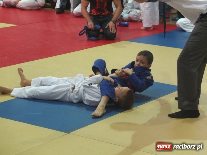 Zdjęcie w galerii na portalu naszraciborz.pl: Sukcesy najmłodszych Łamatorów wiadomości z regionu