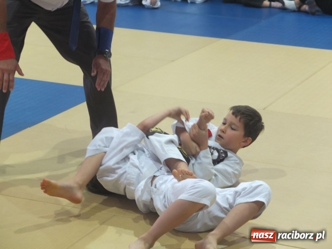 Zdjęcie w galerii na portalu naszraciborz.pl: Sukcesy najmłodszych Łamatorów wiadomości z regionu