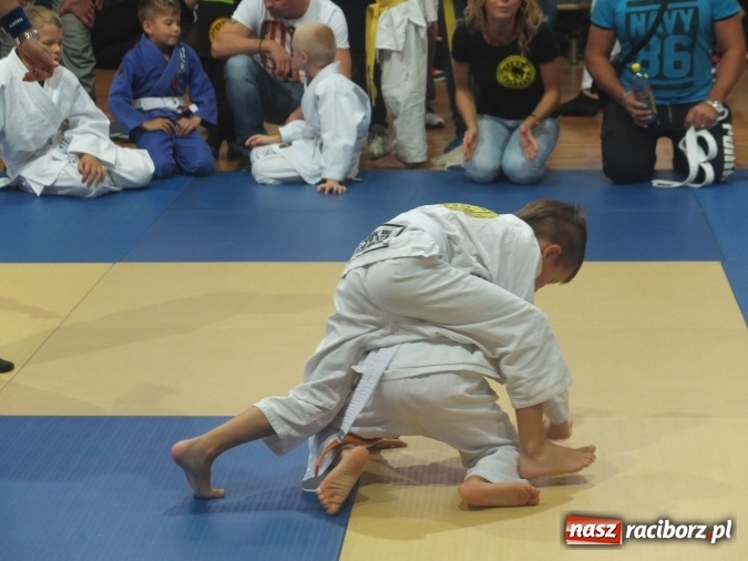 Zdjęcie w galerii na portalu naszraciborz.pl: Sukcesy najmłodszych Łamatorów wiadomości z regionu