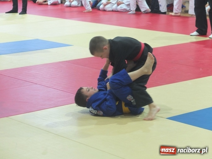 Zdjęcie w galerii na portalu naszraciborz.pl: Sukcesy najmłodszych Łamatorów wiadomości z regionu