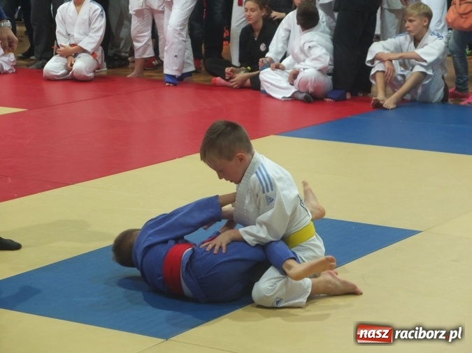 Zdjęcie w galerii na portalu naszraciborz.pl: Sukcesy najmłodszych Łamatorów wiadomości z regionu