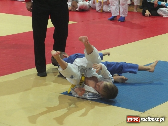 Zdjęcie w galerii na portalu naszraciborz.pl: Sukcesy najmłodszych Łamatorów wiadomości z regionu