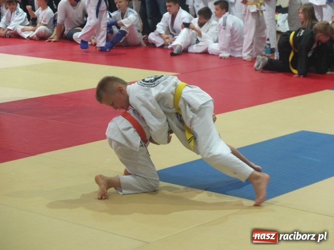 Zdjęcie w galerii na portalu naszraciborz.pl: Sukcesy najmłodszych Łamatorów wiadomości z regionu