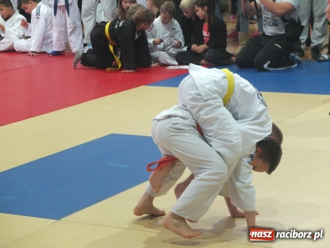 Zdjęcie w galerii na portalu naszraciborz.pl: Sukcesy najmłodszych Łamatorów wiadomości z regionu