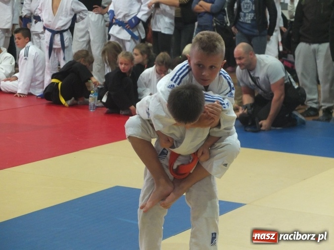 Zdjęcie w galerii na portalu naszraciborz.pl: Sukcesy najmłodszych Łamatorów wiadomości z regionu