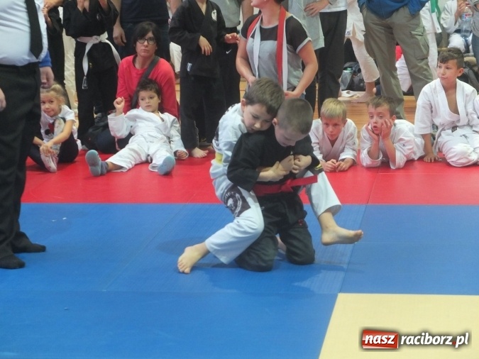 Zdjęcie w galerii na portalu naszraciborz.pl: Sukcesy najmłodszych Łamatorów wiadomości z regionu