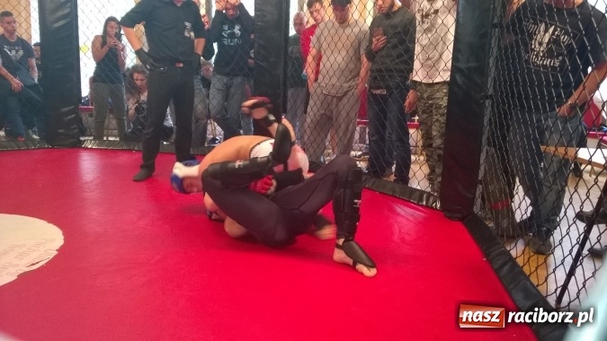 Zdjęcie w galerii na portalu naszraciborz.pl: Raciborski Łamator na zawodach ALMMA w Świętochłowicach wiadomości z regionu