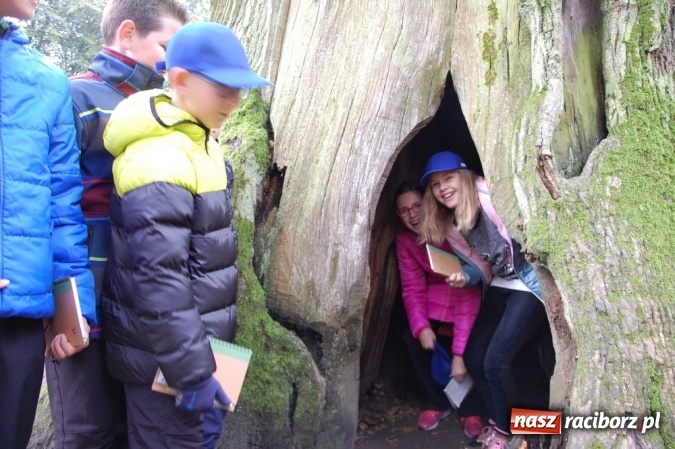 Zdjęcie w galerii na portalu naszraciborz.pl: Ekologiczni badacze ze Szkoły Podstawowej nr 4  wiadomości z regionu