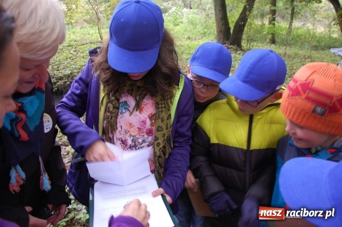 Zdjęcie w galerii na portalu naszraciborz.pl: Ekologiczni badacze ze Szkoły Podstawowej nr 4  wiadomości z regionu