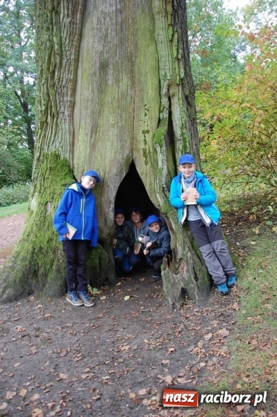 Zdjęcie w galerii na portalu naszraciborz.pl: Ekologiczni badacze ze Szkoły Podstawowej nr 4  wiadomości z regionu