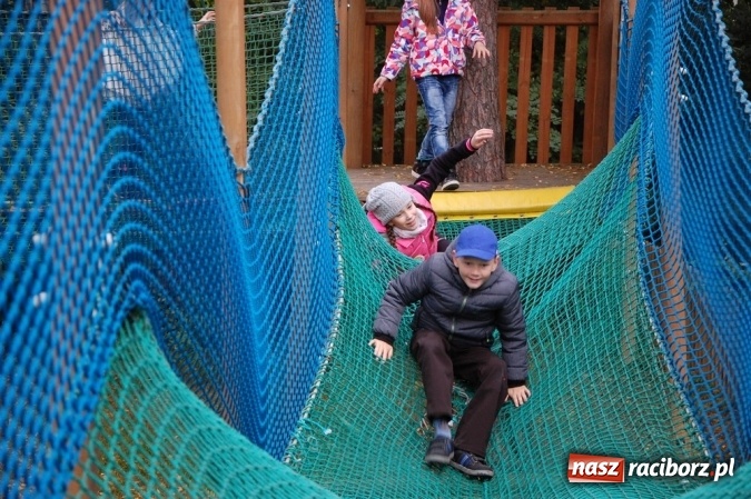 Zdjęcie w galerii na portalu naszraciborz.pl: Ekologiczni badacze ze Szkoły Podstawowej nr 4  wiadomości z regionu