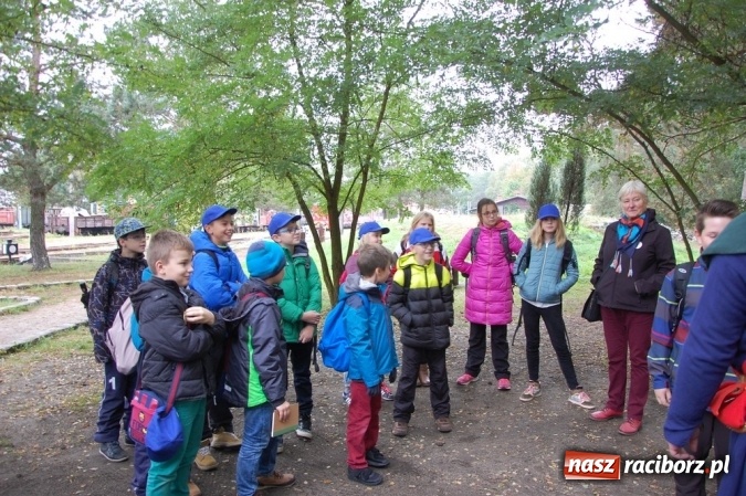 Zdjęcie w galerii na portalu naszraciborz.pl: Ekologiczni badacze ze Szkoły Podstawowej nr 4  wiadomości z regionu