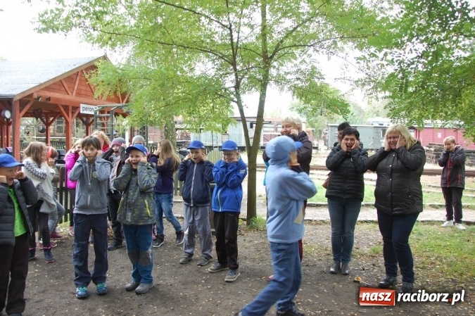 Zdjęcie w galerii na portalu naszraciborz.pl: Ekologiczni badacze ze Szkoły Podstawowej nr 4  wiadomości z regionu