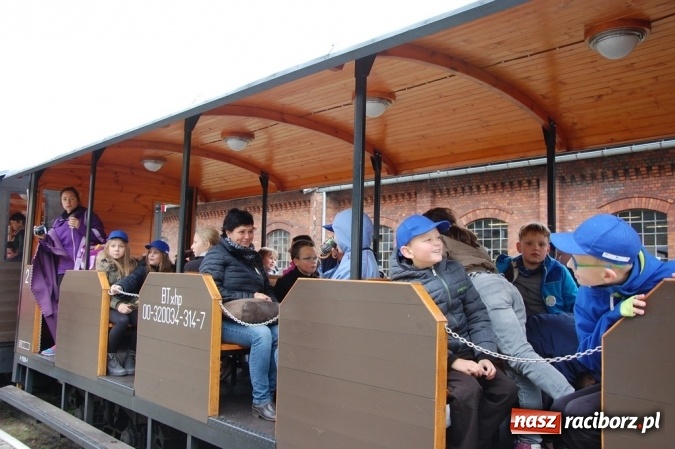 Zdjęcie w galerii na portalu naszraciborz.pl: Ekologiczni badacze ze Szkoły Podstawowej nr 4  wiadomości z regionu