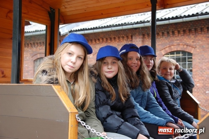 Zdjęcie w galerii na portalu naszraciborz.pl: Ekologiczni badacze ze Szkoły Podstawowej nr 4  wiadomości z regionu