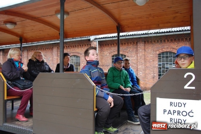 Zdjęcie w galerii na portalu naszraciborz.pl: Ekologiczni badacze ze Szkoły Podstawowej nr 4  wiadomości z regionu