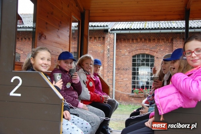 Zdjęcie w galerii na portalu naszraciborz.pl: Ekologiczni badacze ze Szkoły Podstawowej nr 4  wiadomości z regionu