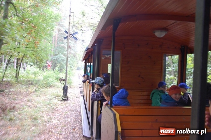 Zdjęcie w galerii na portalu naszraciborz.pl: Ekologiczni badacze ze Szkoły Podstawowej nr 4  wiadomości z regionu