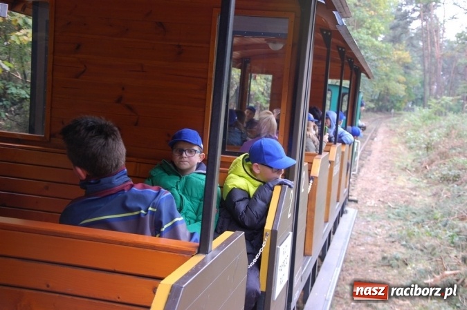 Zdjęcie w galerii na portalu naszraciborz.pl: Ekologiczni badacze ze Szkoły Podstawowej nr 4  wiadomości z regionu
