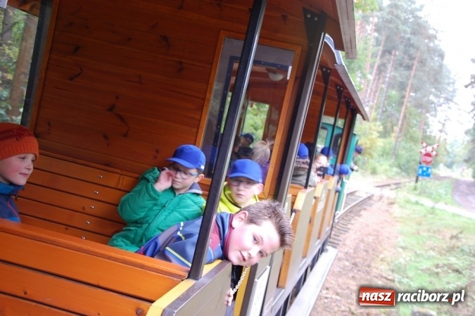 Zdjęcie w galerii na portalu naszraciborz.pl: Ekologiczni badacze ze Szkoły Podstawowej nr 4  wiadomości z regionu