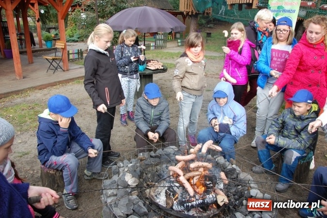 Zdjęcie w galerii na portalu naszraciborz.pl: Ekologiczni badacze ze Szkoły Podstawowej nr 4  wiadomości z regionu