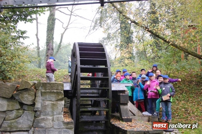 Zdjęcie w galerii na portalu naszraciborz.pl: Ekologiczni badacze ze Szkoły Podstawowej nr 4  wiadomości z regionu