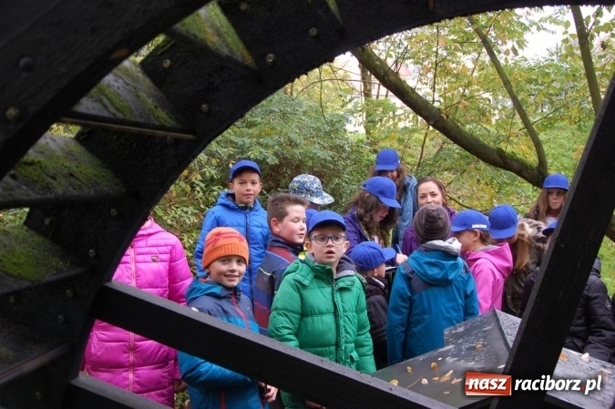 Zdjęcie w galerii na portalu naszraciborz.pl: Ekologiczni badacze ze Szkoły Podstawowej nr 4  wiadomości z regionu