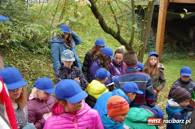 Zdjęcie w galerii na portalu naszraciborz.pl: Ekologiczni badacze ze Szkoły Podstawowej nr 4  wiadomości z regionu