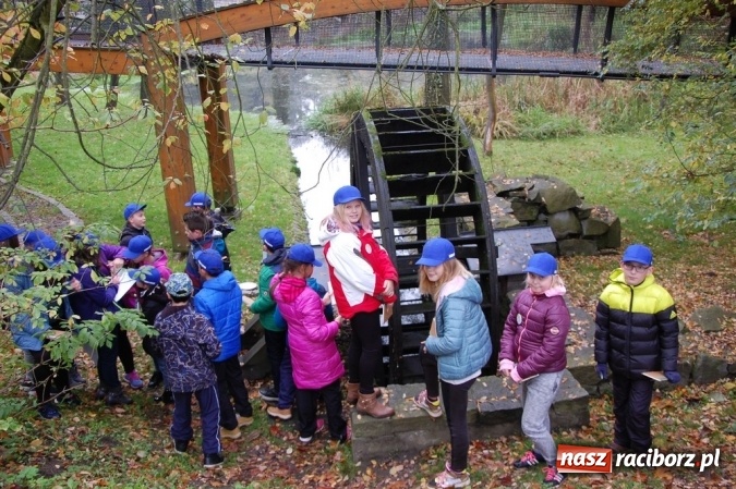 Zdjęcie w galerii na portalu naszraciborz.pl: Ekologiczni badacze ze Szkoły Podstawowej nr 4  wiadomości z regionu