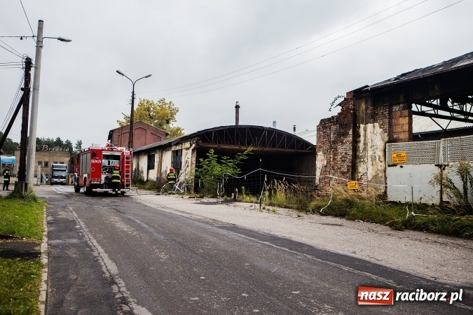 Zdjęcie w galerii na portalu naszraciborz.pl: Pożar w starej hali byłej Emy w Brzeziu wiadomości z regionu