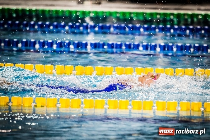 Zdjęcie w galerii na portalu naszraciborz.pl: Polska Liga Pływacka gości w Raciborzu FOTO wiadomości z regionu