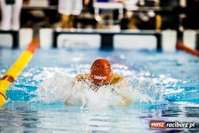 Zdjęcie w galerii na portalu naszraciborz.pl: Polska Liga Pływacka gości w Raciborzu FOTO wiadomości z regionu