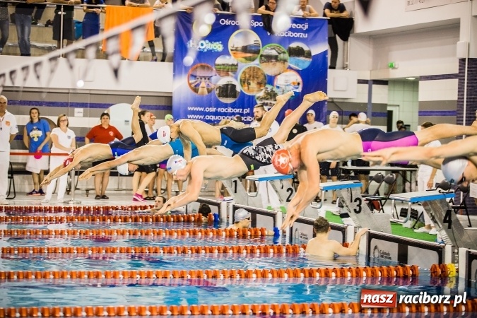 Zdjęcie w galerii na portalu naszraciborz.pl: Polska Liga Pływacka gości w Raciborzu FOTO wiadomości z regionu