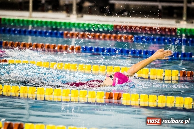 Zdjęcie w galerii na portalu naszraciborz.pl: Polska Liga Pływacka gości w Raciborzu FOTO wiadomości z regionu
