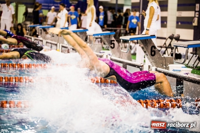 Zdjęcie w galerii na portalu naszraciborz.pl: Polska Liga Pływacka gości w Raciborzu FOTO wiadomości z regionu
