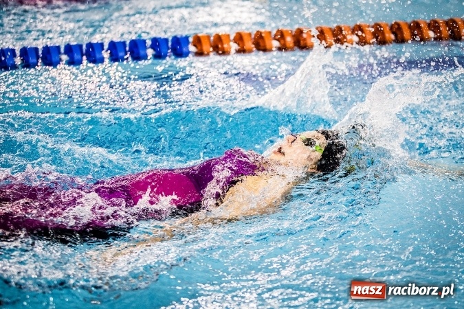Zdjęcie w galerii na portalu naszraciborz.pl: Polska Liga Pływacka gości w Raciborzu FOTO wiadomości z regionu