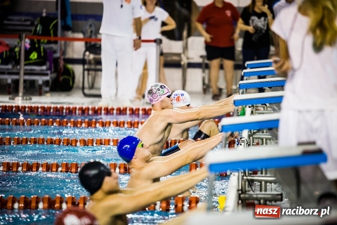 Zdjęcie w galerii na portalu naszraciborz.pl: Polska Liga Pływacka gości w Raciborzu FOTO wiadomości z regionu
