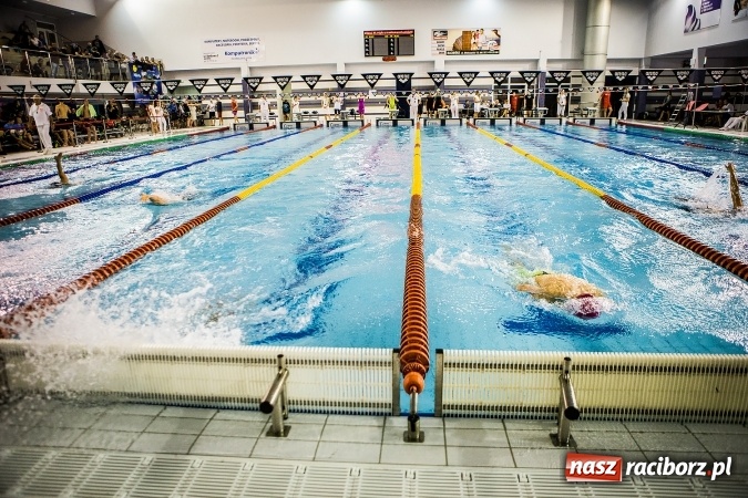 Zdjęcie w galerii na portalu naszraciborz.pl: Polska Liga Pływacka gości w Raciborzu FOTO wiadomości z regionu